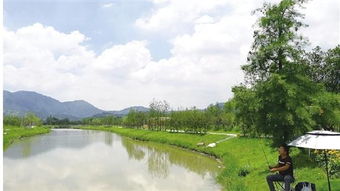 從昔日洼地到今日景區 村企抱團，繪就旅游開發新畫卷